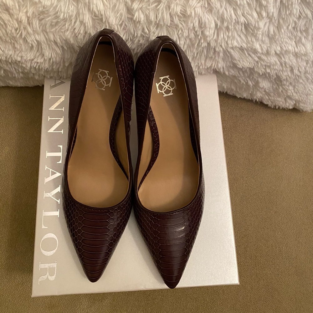 Ann Taylor Norah Pointy Heel Brown Color-Size 8